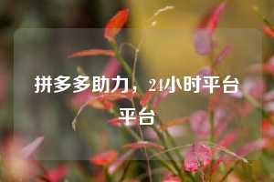 拼多多助力，24小时平台平台