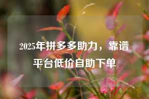 2025年拼多多助力，靠谱平台低价自助下单