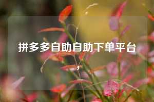 拼多多自助自助下单平台，