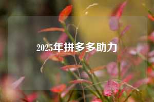 2025年拼多多助力