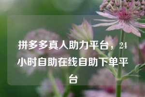 拼多多真人助力平台，24小时自助在线自助下单平台