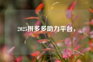 2025拼多多助力平台，