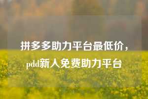 拼多多助力平台最低价，pdd新人免费助力平台