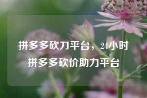 拼多多砍刀平台，24小时拼多多砍价助力平台