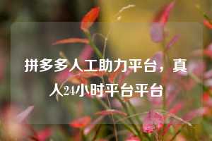 拼多多人工助力平台，真人24小时平台平台