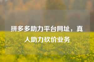 拼多多助力平台网址，真人助力砍价业务