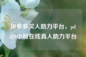 拼多多买人助力平台，pdd24小时在线真人助力平台