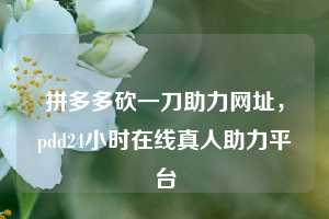 拼多多砍一刀助力网址，pdd24小时在线真人助力平台