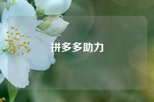 拼多多助力