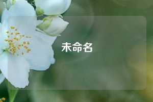 未命名