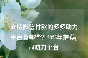 支持微信付款的多多助力平台有哪些？2025年推荐pdd助力平台