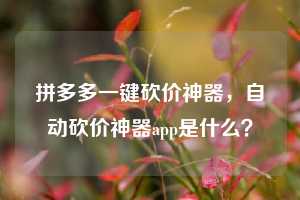 拼多多一键砍价神器，自动砍价神器app是什么？