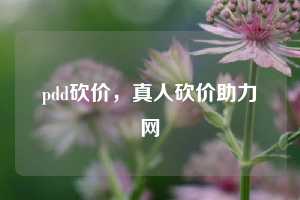 pdd砍价，真人砍价助力网