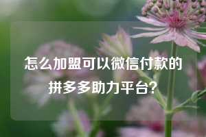 怎么加盟可以微信付款的拼多多助力平台？