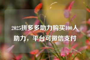 2025拼多多助力购买100人助力，平台可微信支付
