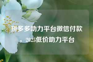 拼多多助力平台微信付款，2025低价助力平台