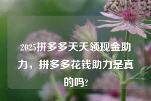 2025拼多多天天领现金助力，拼多多花钱助力是真的吗?