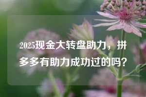 2025现金大转盘助力，拼多多有助力成功过的吗？