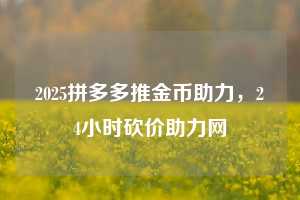 2025拼多多推金币助力，24小时砍价助力网