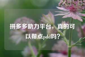 拼多多助力平台，真的可以帮点pdd吗？