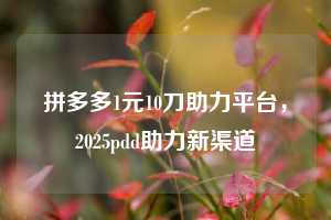 拼多多1元10刀助力平台，2025pdd助力新渠道✍