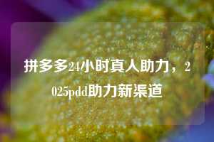 拼多多24小时真人助力，2025pdd助力新渠道