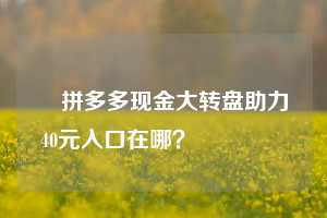 ✅拼多多现金大转盘助力40元入口在哪？㊙️㊙️㊙️