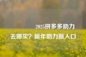 💕2025拼多多助力去哪买？新年助力新入口💕