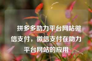 ✅拼多多助力平台网站微信支付,微信支付在助力平台网站的应用
