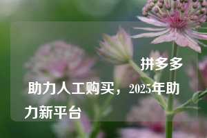💯💯拼多多助力人工购买，2025年助力新平台💯💯
