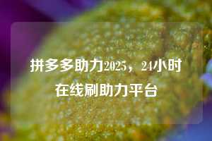 拼多多助力2025，24小时在线刷助力平台