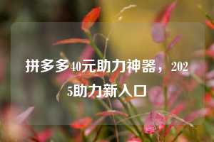 拼多多40元助力神器，2025助力新入口