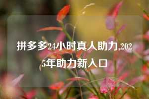 拼多多24小时真人助力,2025年助力新入口