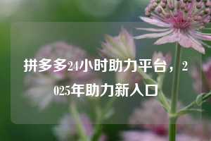 拼多多24小时助力平台,2025年助力新入口