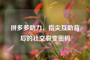 拼多多助力，指尖互助背后的社交裂变密码