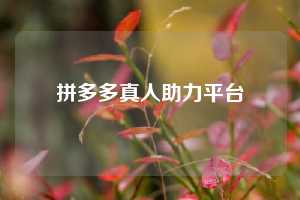拼多多真人助力平台