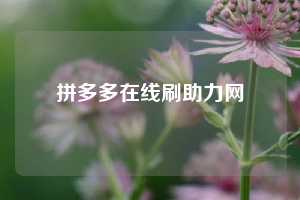 拼多多在线刷助力网