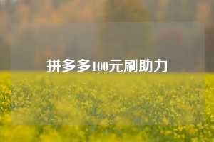 拼多多100元刷助力
