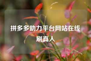 拼多多助力平台网站在线刷真人