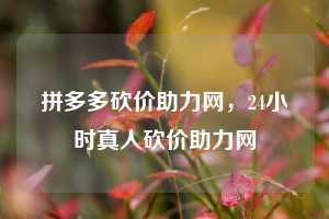 拼多多砍价助力网，24小时真人砍价助力网