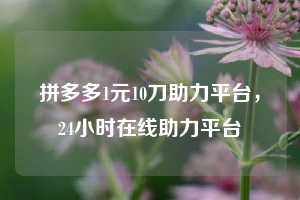 拼多多1元10刀助力平台，24小时在线助力平台
