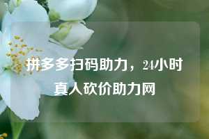 拼多多扫码助力，24小时真人砍价助力网