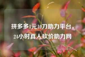 拼多多1元10刀助力平台，24小时真人砍价助力网