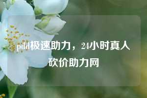 pdd极速助力，24小时真人砍价助力网