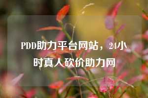 PDD助力平台网站，24小时真人砍价助力网