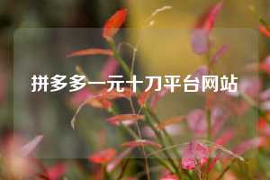 拼多多一元十刀平台网站