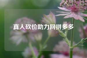 真人砍价助力网拼多多