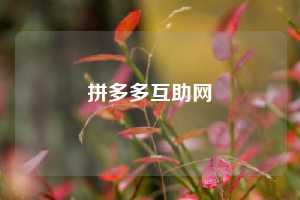 拼多多互助网