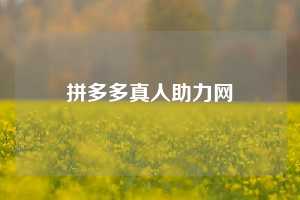 拼多多真人助力网