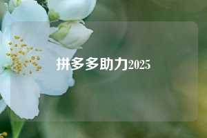 拼多多助力2025